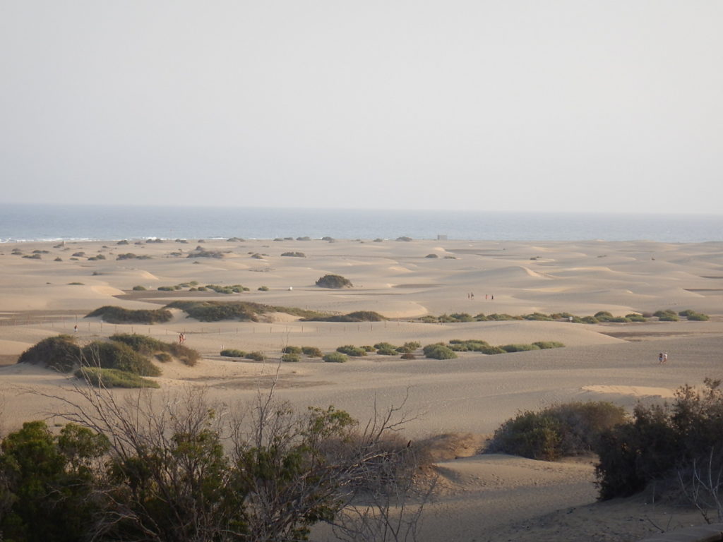 Das Girl von Maspalomas…